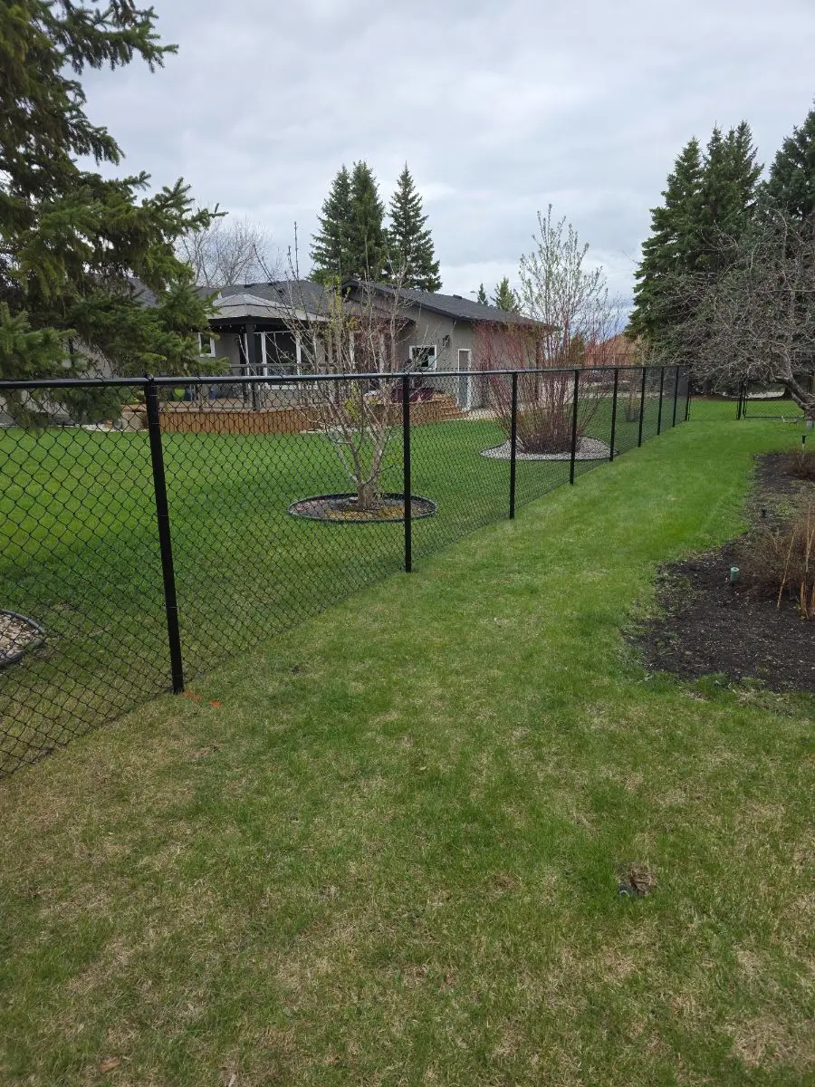 Black chainlink fence in a backyard